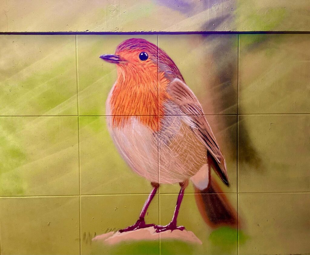 Graffiti von Graugegner: Rotkehlchen mit orangefarbener Brust auf einer Wand vor grünem Hintergrund.